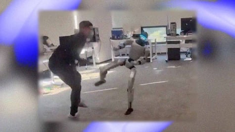 unitree-robot-groin-kick