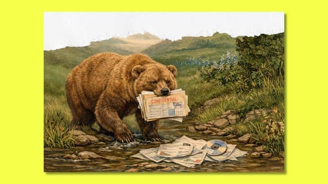 california-bear-data-broker-files