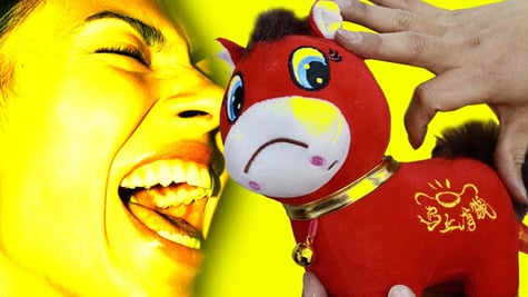 A yellow background, with an enthused face and a stuffed toy horse.