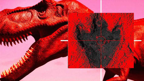 Dinosaur footprint identification app