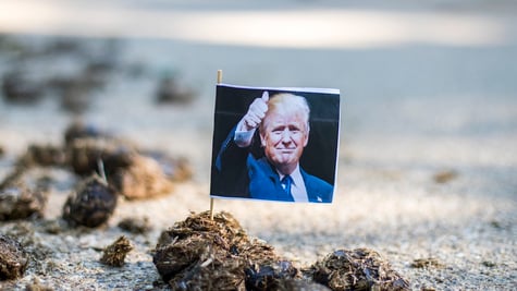 donald-trump-poop