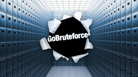 gobruteforcer