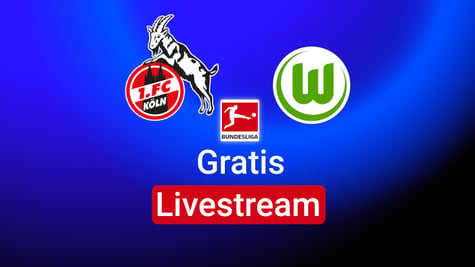 koln vs wolfsburg