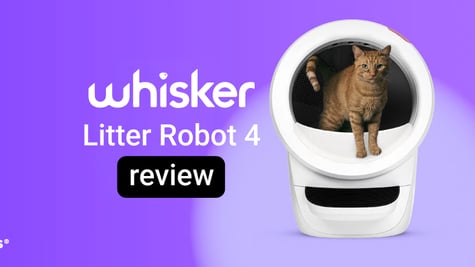 Whisker litter robot 4 review