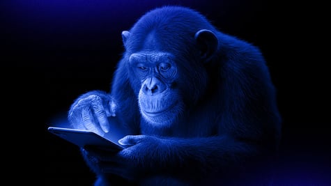 monkey smartphone