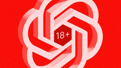 OpenAI logo saying +18