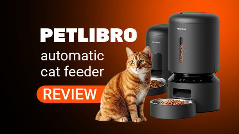 Petlibro automatic cat feeder review