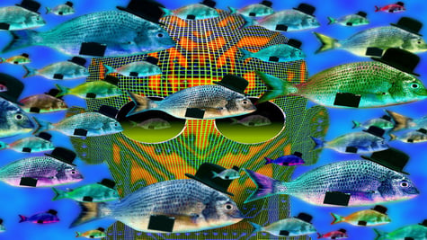 Phishing screensaver