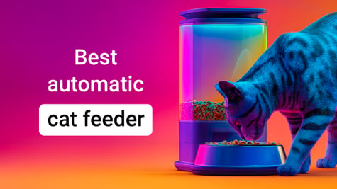 automatic cat feeder