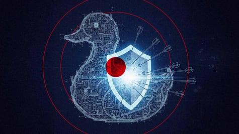 Japan-cyberdefense-duck