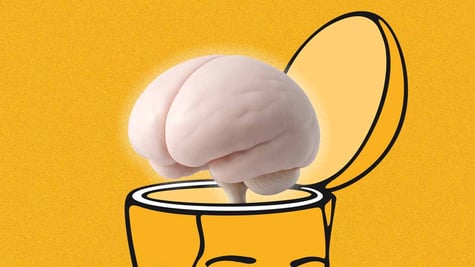 yellow brains