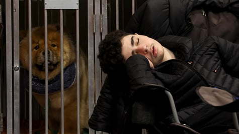 sleeping at work