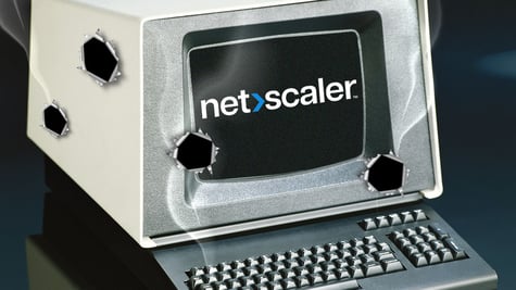 vulnerability netcsaler