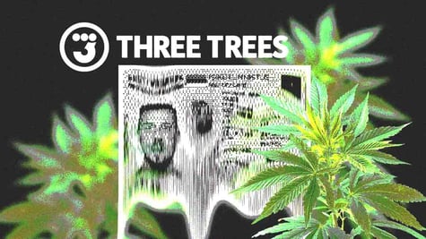 Three Trees