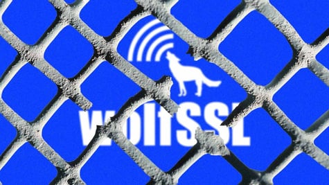wolfSSL vulnerability