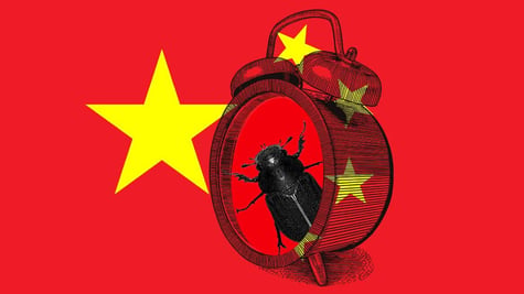 china clock bug