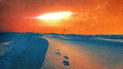Footprints that suddenly stop in the sand.