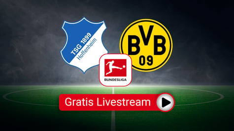 hoffenheim dortmund