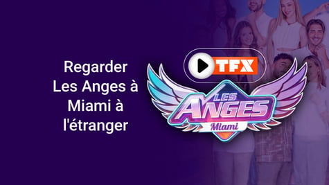 les anges a miami
