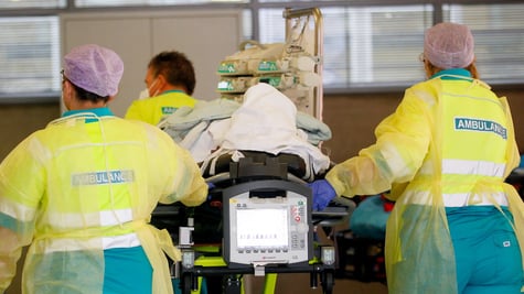 Netherlands hospital