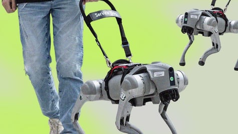 AI-powered robot guide dog
