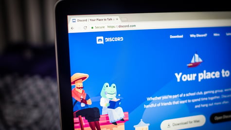 discord main page, blue screen on laptop desktop, black laptop, animated animal