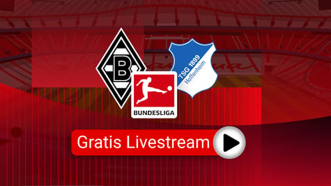 Vereinswappen von Borussia Mönchengladbach und der TSG 1899 Hoffenheim zum Bundesliga-Spiel am 18. Oktober 2026