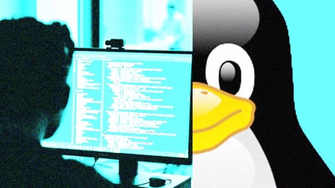 linux kernel bug grants root access