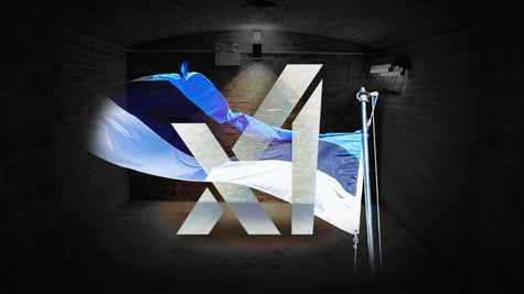 xAI logo, Estonian flag, basement