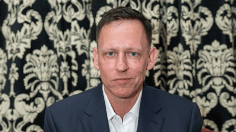 Peter Thiel, dark suit, white collar shirt, no tie, dark hair, light eyebrows, smirk