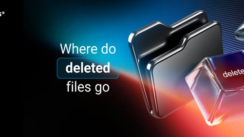 Where do deleted files go