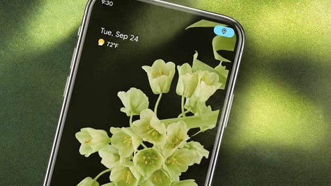 Android smartphone privacy indications