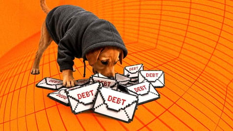 dog debt