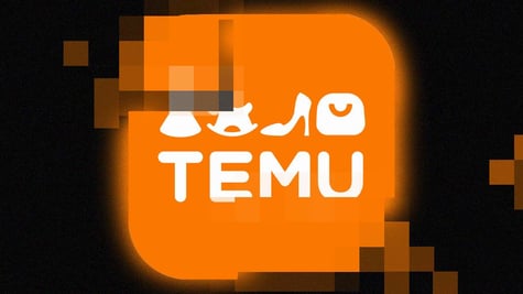 temu data breach