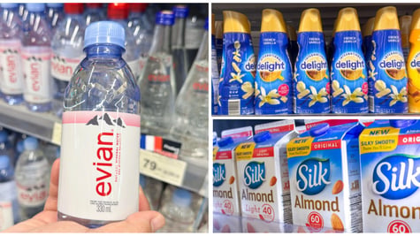 Danone parent company
