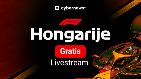 F1 Hungarian GP NL