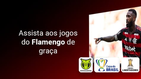 Flamengo ao vivo br