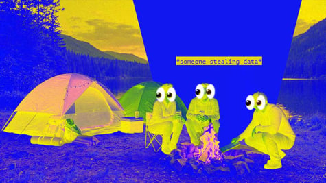 campers data leak