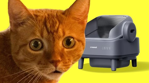Lokis and OneIsAll litter box