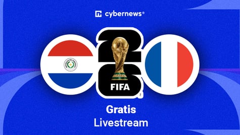 fifa world cup paraguay vs france