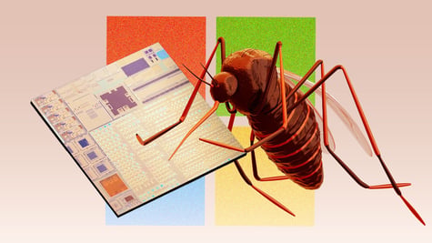 windows-11-bug