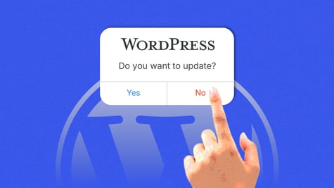 wordpress updates