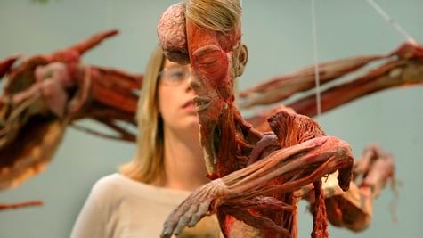 world body exhibit