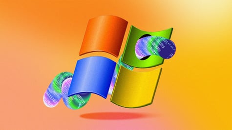 microsoft exploit