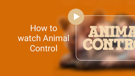 Animal Control