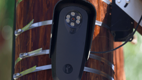 A Flock camera mounted to a pole.