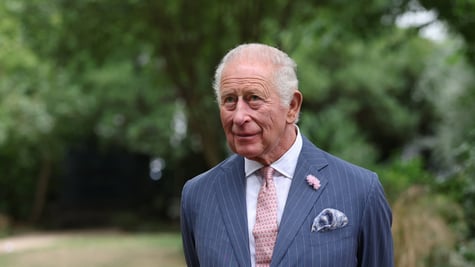 king_charles_trees_grey_suit