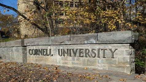 Cornell University entrance sign, with leaves in fall