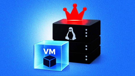 VM