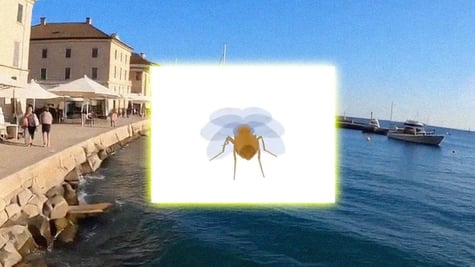 A fly in the background of AI generated Marina